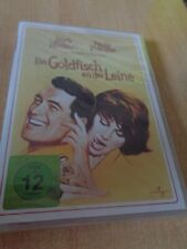 Ein Goldfisch an der Leine