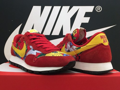 Vintage 2015 nike air pegasus - vintage,