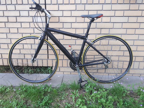 Giant racer gepflegtem - in,