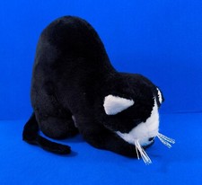 SIGIKID KATZE mit Buckel