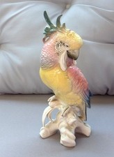 Antik Friedrich Karl Ens Germany Porzellan Großer Kakadu Papagei Sammler