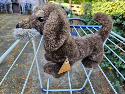 Sigikid vintage dackel hund - vintage,