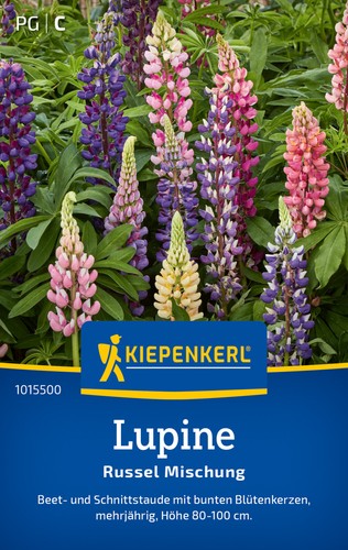 Lupine russel mischung - mischung, *