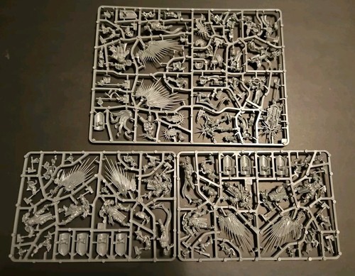 Srormcast eternals warhammer - eternals,