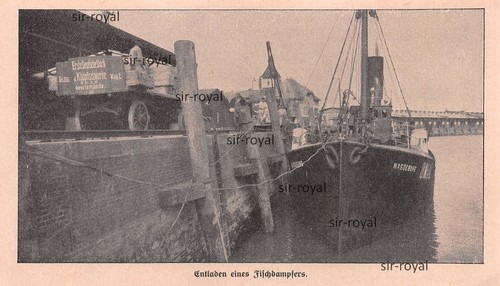 Entladung fischdampfer - entladung,