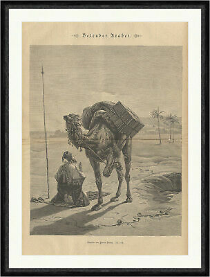 Betender araber islam kamel - araber,