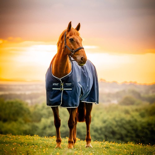 Horseware amigo ripstop 900d - ripstop,