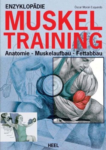 Enzyklopädie muskel training - enzyklopädie, muskel-training