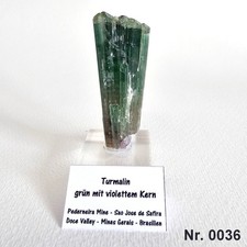 🎬 Vitrinenstufe -