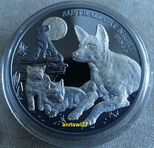 Dingo australia night 1 - dingo,