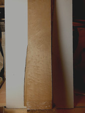 Ahorn - Vogelaugenahorn