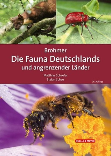 Brohmer die fauna - –,