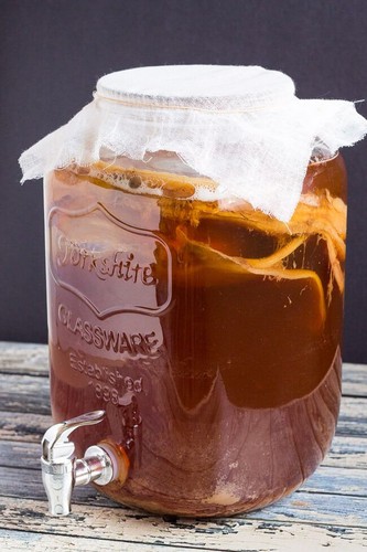 Teepilz kombucha pilz - teepilz,