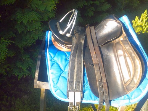 Vielseitigkeitssattel husar - vielseitigkeitssattel,