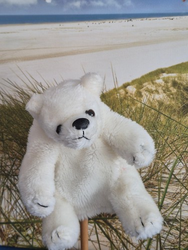 Handpuppe eisbär 17 cm - eisbär,