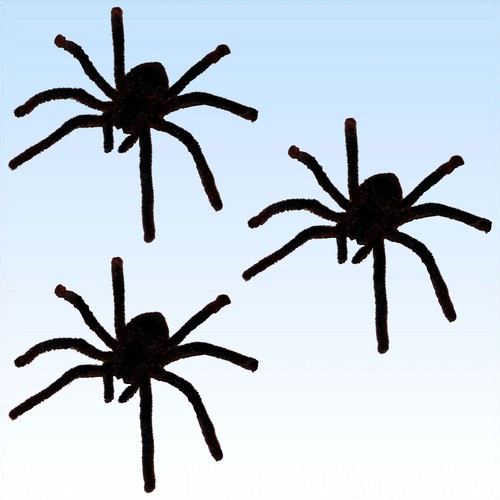Große haarige spinne - haarige,