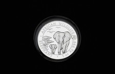 SOMALIA ELEPHANT 2015 -Privy