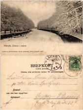 CPA AK UDDEVALLA Lindarne i rimfrost SWEDEN (419430)