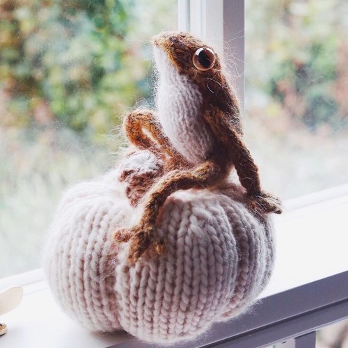 Strickset frosch zum stricken - strickset,