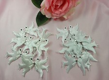 12 Taubenpaare Tauben