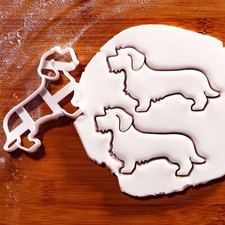 Drahthaar Dackel Körper