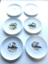 Schumann Arzberg Bavaria - Set