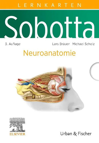 Sobotta lernkarten - sobotta,