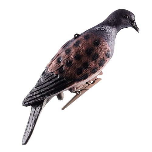 Stück jagd taube angst - jagd,