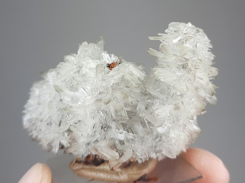 Hemimorphit ojuela mine - ojuela,