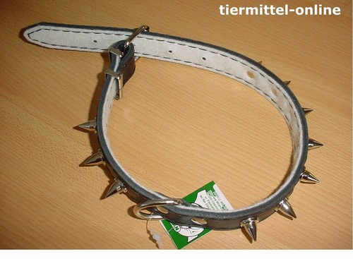 Hundehalsband mit