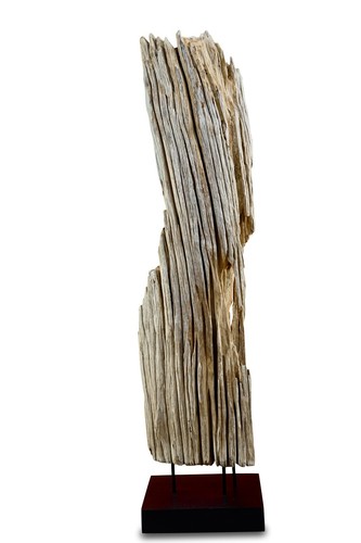 Treibholz skulptur 100cm - treibholz,