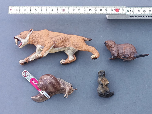 Tiere von schleich papo - von,