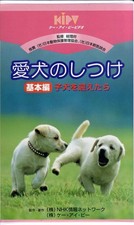 Paket VHS Grundlagen Training