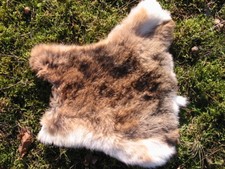 Kaninchenfell Kaninchenfelle