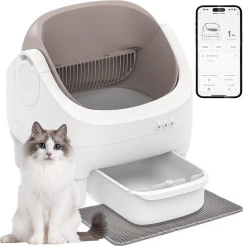 Xxl katzentoilette - xxl,