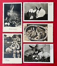 5 x Glückwunsch Foto AK OSTERN 1937/40 Hase Kaninchen Ostereier  ( 149519