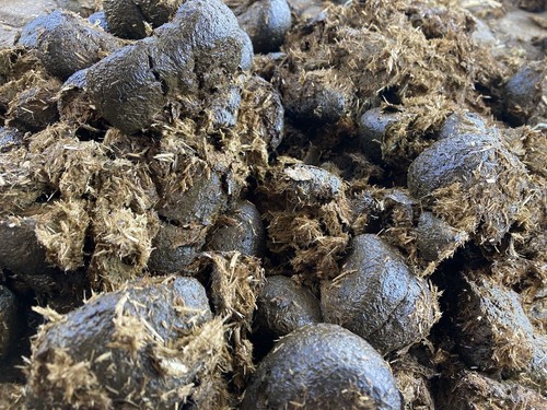 22kg pferdeäpfel pferdemist - 22kg,