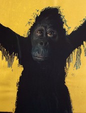 Werner Pawlok Edition