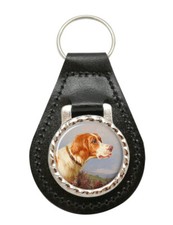 Kopf Study von Einer Pointer