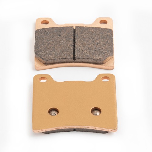 Bremsbeläge hinten für