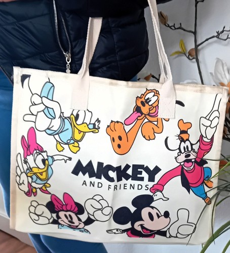 Disney minnie mouse canvas - disney,