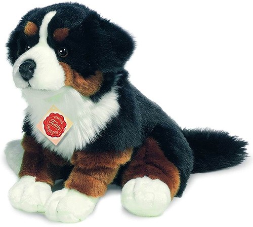 Teddy hermann berner - teddy,