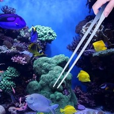 XL Futterpinzette Pinzette