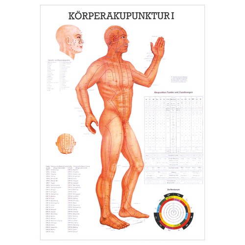 Körperakupunktur - , i