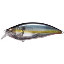 Megabass BIG-M 2.0 Fishing