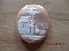 Feine Muschelgemme Cameo Kamee