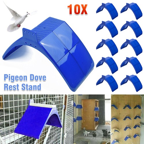 30x vögel taube - vögel,