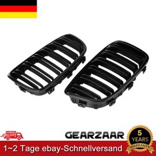 Nieren Grill für BMW 1er F20