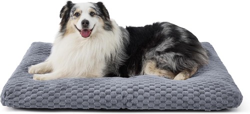 Hundekissen für große hunde - für,