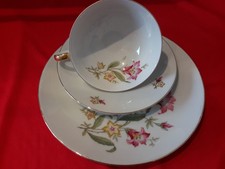 Winterling. Sammeltasse . Sammelgedeck, 3-teilig.Porzellan.Sehr schön!